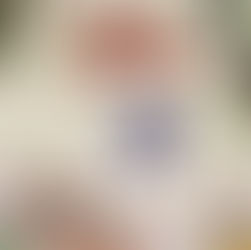 Knyga „Voriukė Mimi ieško namų“