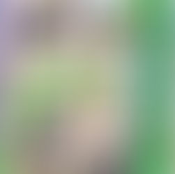 Knyga „Lietuvos paukščiai. Tikri gamtos garsai!“