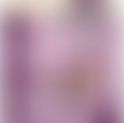 Knyga „A komanda ir septynios dingusios katės. Ketvirtas nuotykis“