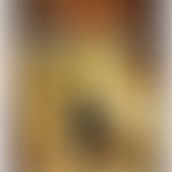 Knyga „Žvalgo mokinys. Karališkasis žvalgas. Dingęs princas (15)“