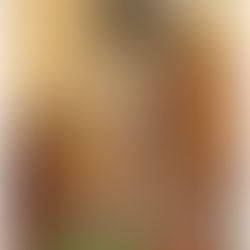 Knyga „Paskutiniai vaikai“