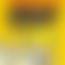 Knyga „Didžiojo klano ūkis. Ateiviai puola!“