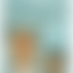 Knyga „Berniukas ir senolis“