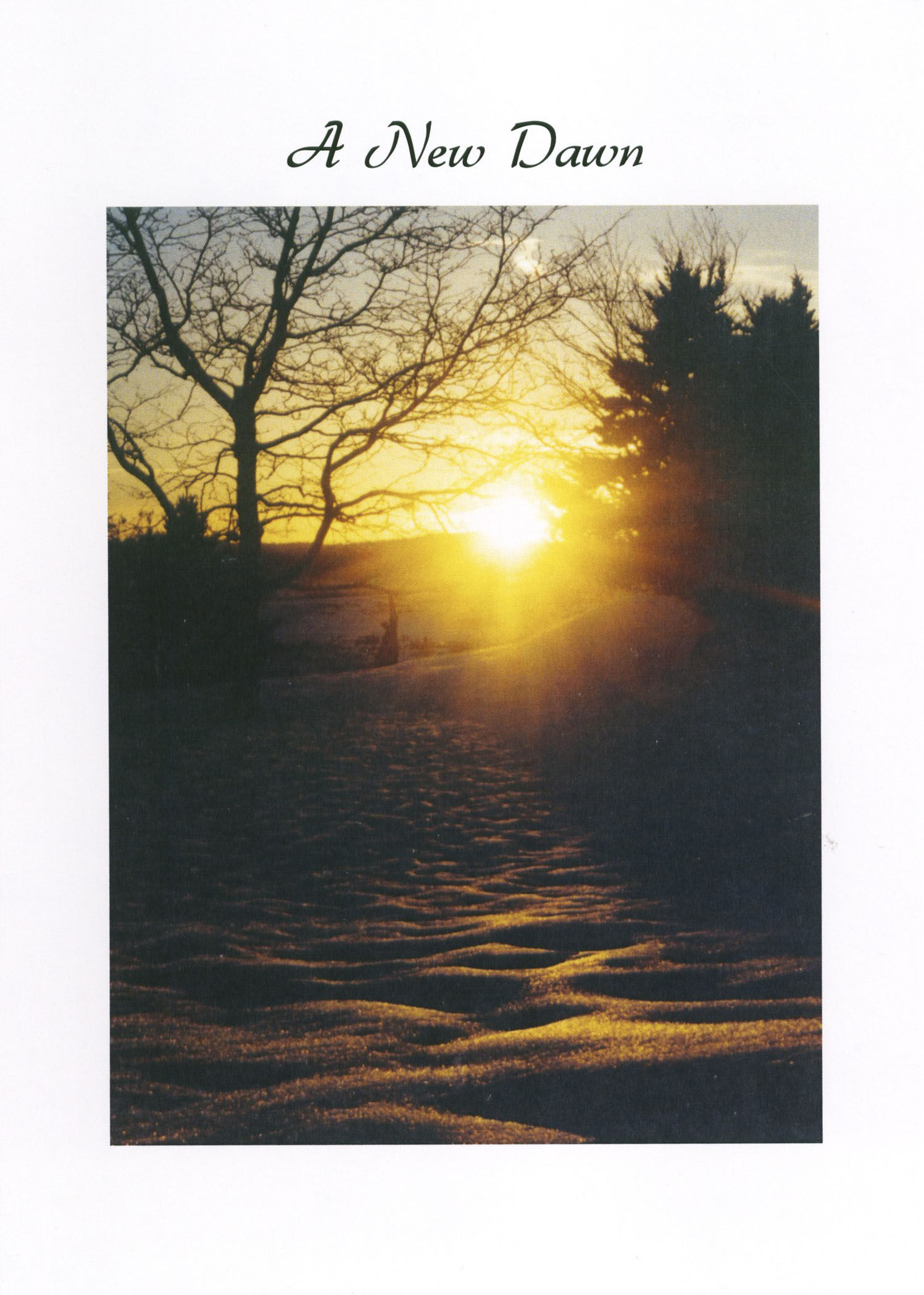 A New Dawn - Sedalia, CO, USA, ND1