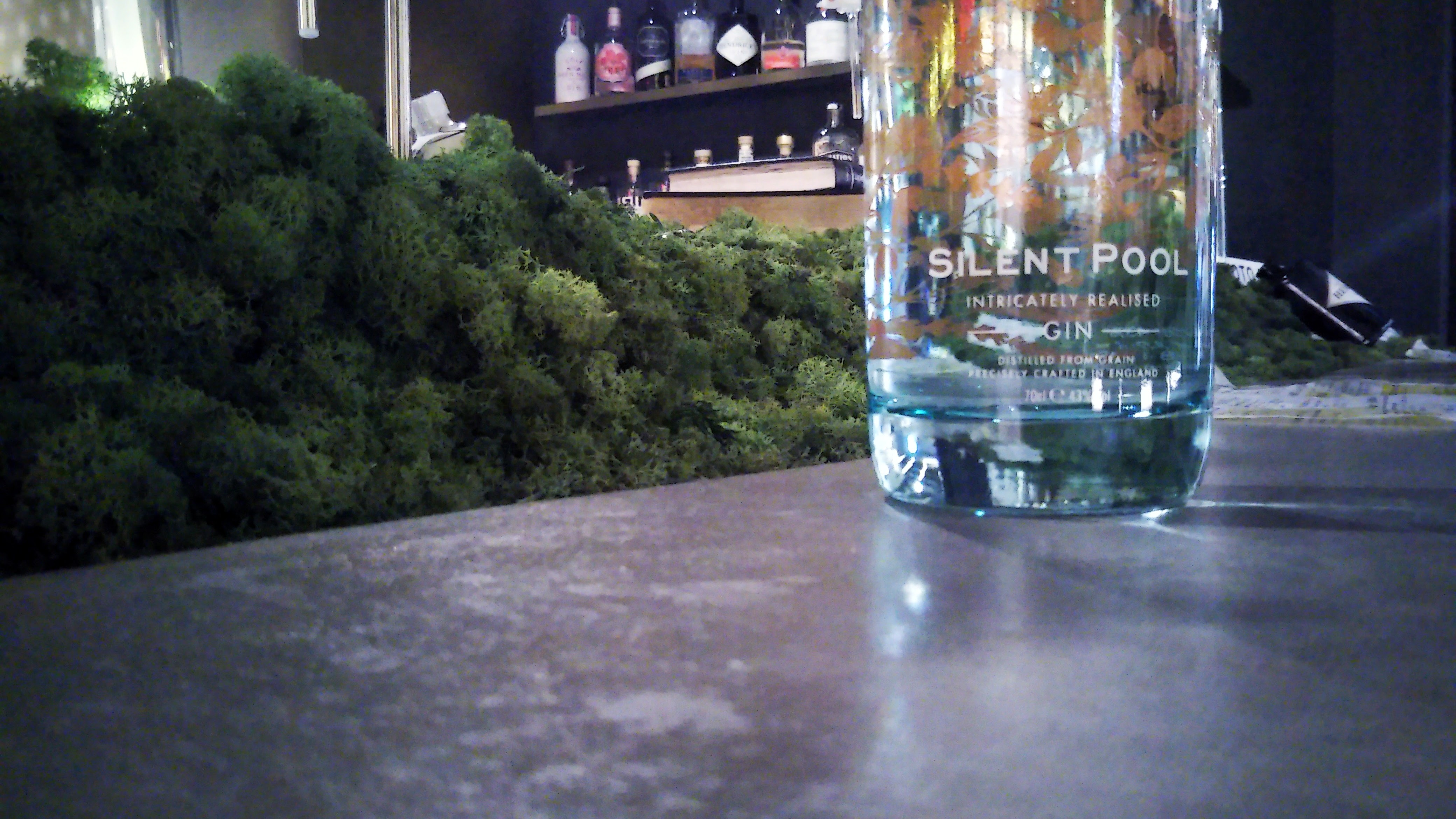 SILENT POOR GIN / サイレントプール