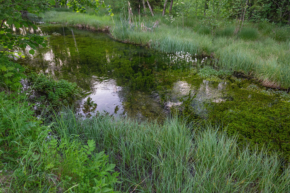 CRP_1733 Kopie.jpg