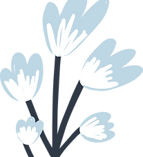 Flower Plant  