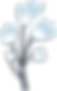 Flower Plant