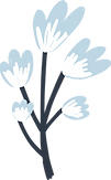 Flower Plant