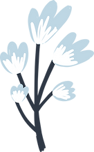 Flower Plant
