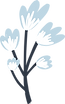 Flower Plant