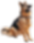 pngwing.com (4) (1).png