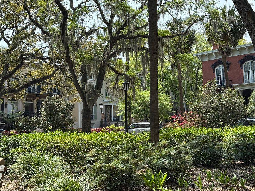 Day 6 - GA to DC Spring Trip 2026