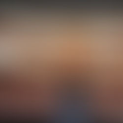 テレビ出演。「Regensburg, zwischen Mittelalter und Moderne / Metropolis」（レーゲンスブルグ、中世と現代の狭間／メトロポリス）