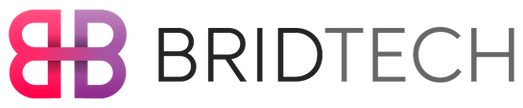 Logo-Bridtech-gris.png