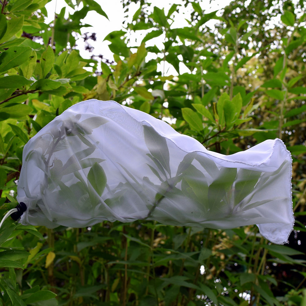 Thumbnail: Netting Bag