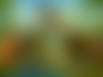 Resumen de la jornada 4