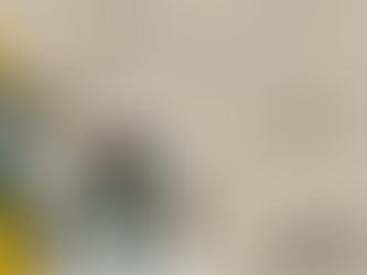 Rumbo al draft: Las Rokas