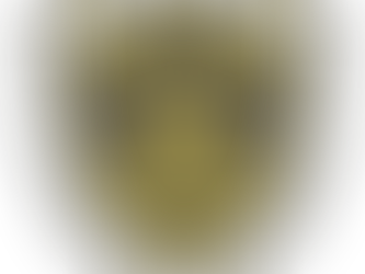 Los Bulleggs cambian de piel