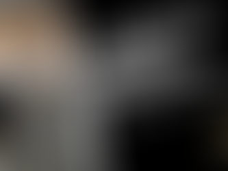 La debacle de los Zorritos