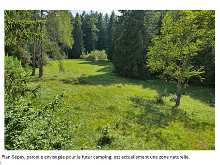 Gryon (VD): Amis de la nature opposés au déplacement du camping