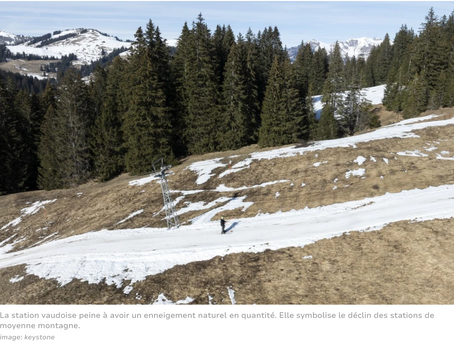 Les Mosses se battent pour éviter «la mort»