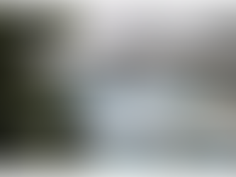 Les bains d'Ovronnaz obtiennent un sursis concordataire.