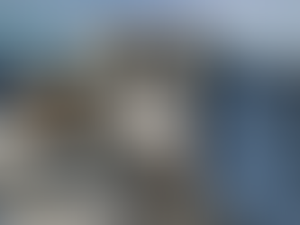 Après l'incendie, Glacier 3000 inaugure des restos flambant neufs