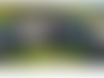 Opération rénovation pour les chalets d’alpage du Pays d’En-Haut.