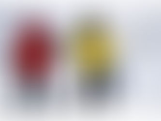 Recherche guides de ski pour aveugles et malvoyants 