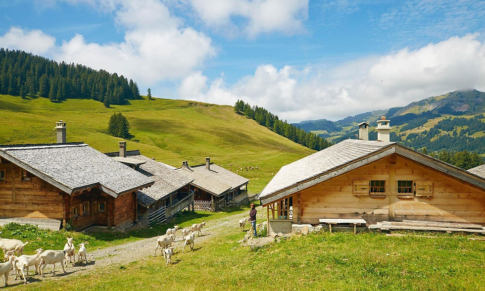 Hameau de Taveyanne