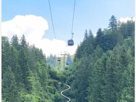 Frapp a testé pour nous les nouveaux toboggans à Charmey.