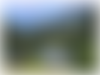 Villars, Gryon, Leysin, Les Diablerets et les autres stations des Alpes vaudoises tirent à nouveau leur épingle du jeu avec une croissance de 22%.