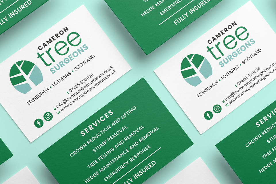 Cameron Tree Surgeons: Logo design, branding, flyers & business cards.