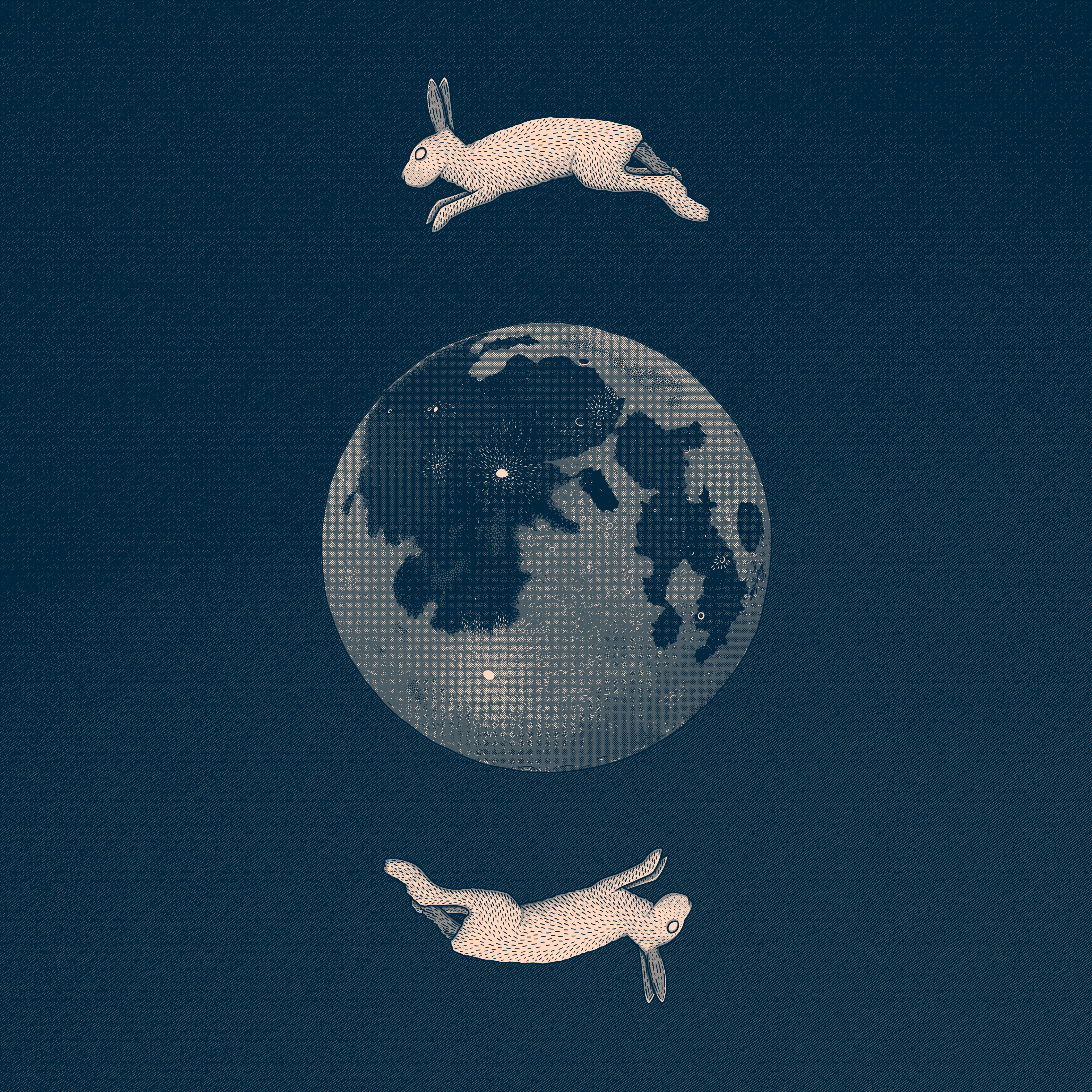 Hare & Moon