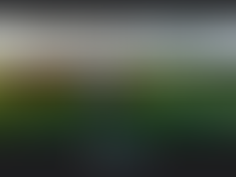 6 Ways Horses Help You Develop Life Skills You Wish You Had Earlier