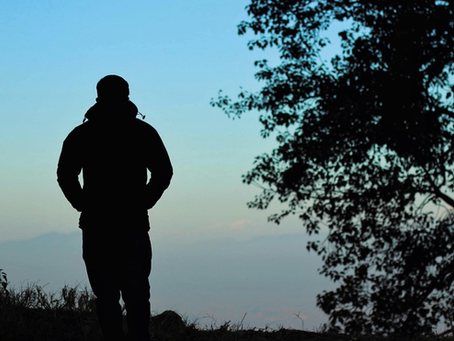 A silhouetted person stands outdoors on a hillside, looking out toward a pale sky and distant landscape, with dark tree branches framing the right side of the image.
