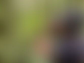 Birdwatcher in Ecuador’s cloud forest at Chocó 701 enjoying the daily symphony of birds in a regenerating habitat.