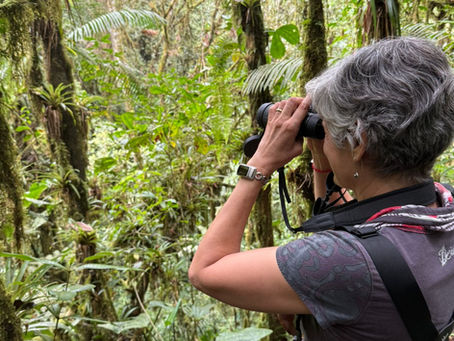 Birdwatcher in Ecuador’s cloud forest at Chocó 701 enjoying the daily symphony of birds in a regenerating habitat.