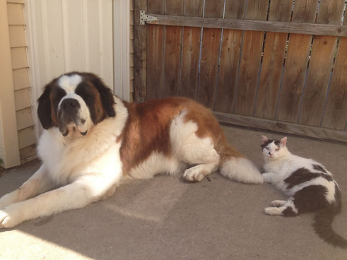 Saint with cat.jpg