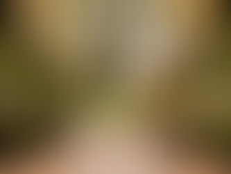 Let's Talk Transfers