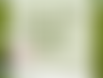 Lane Kiffin on the Transfer Portal