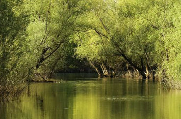 Skadar Lake National Park