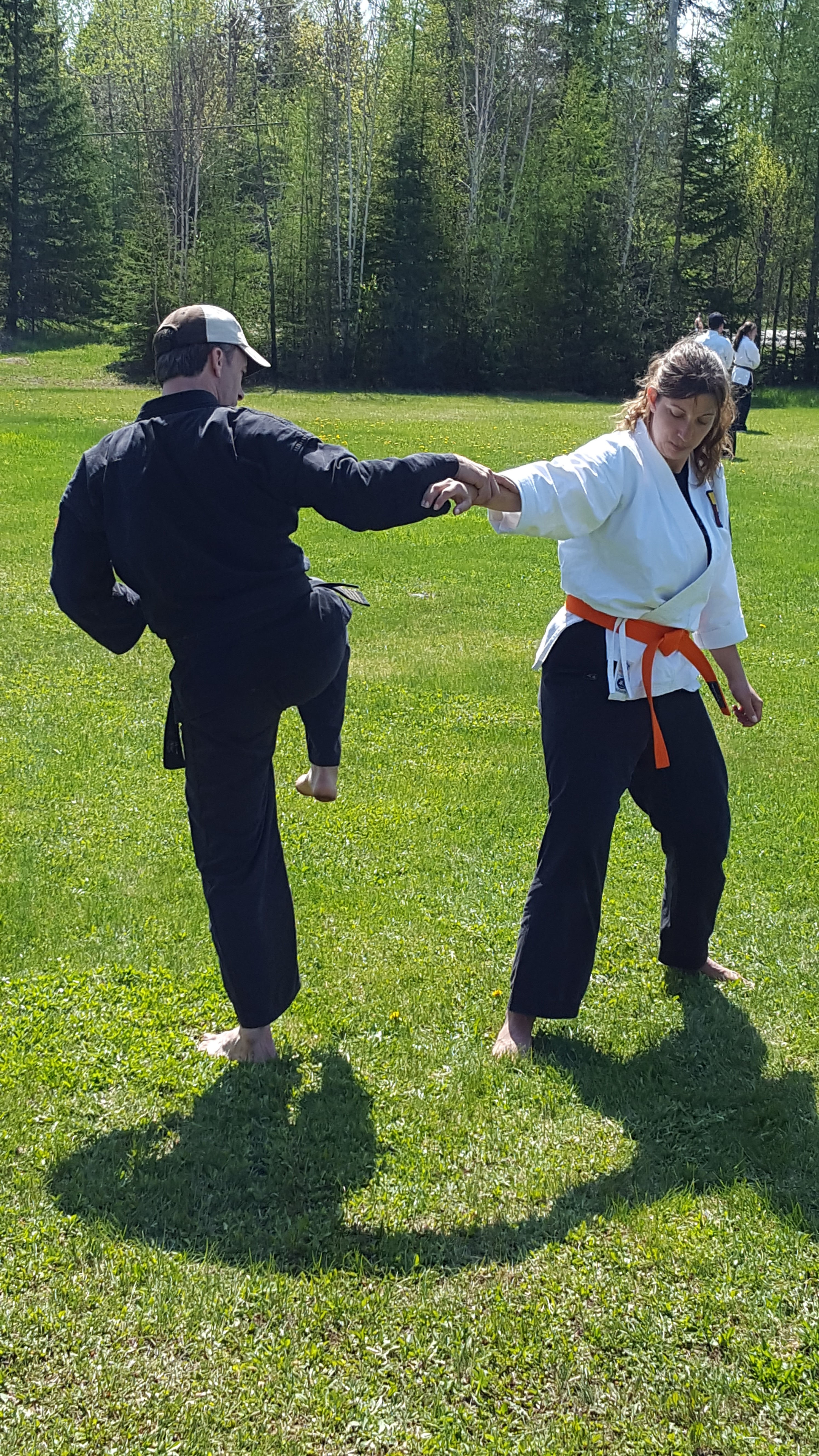 pré-inscription cours pour Adulte (dojo de Lévis)