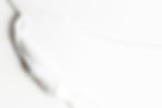 White Cream_edited_edited_edited_edited.jpg
