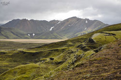 Landmannalaugar  Iceland Islanda