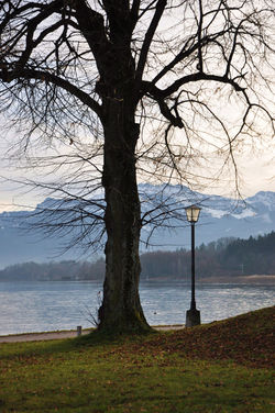 Romantic strasse Baviera