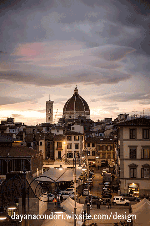 florencе-gif.gif