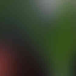 Longue feuille verte perlée de gouttes de rosée, photographiée tôt le matin. Le bokeh rouge et vert en arrière-plan souligne la précision du piqué macro sur les gouttelettes.