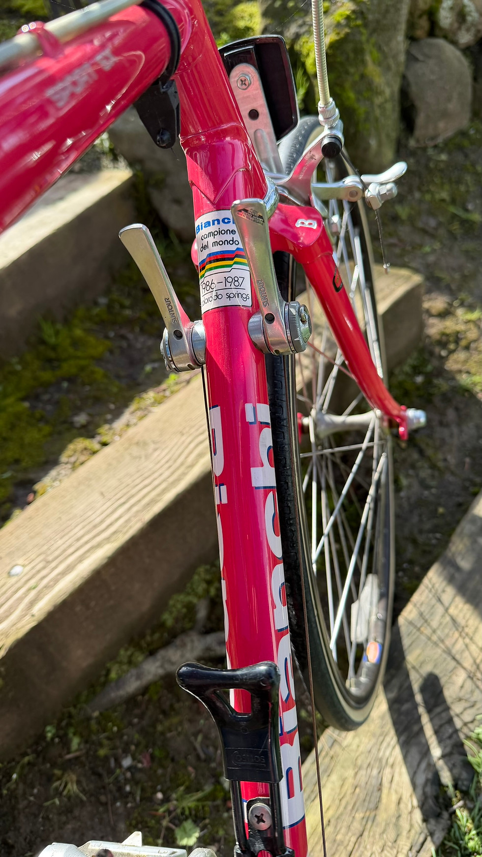 Thumbnail: Bianchi Sport SX — 1987 Terry Geometry, Fuchsia
